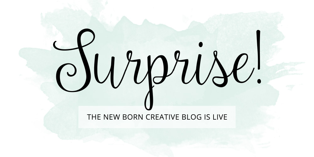 RE-Born Creative | Happy Anniversary & Rebrand!