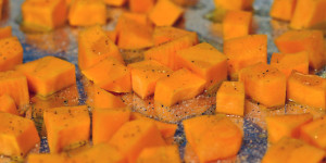 Roasted Butternut Squash Quesadilla