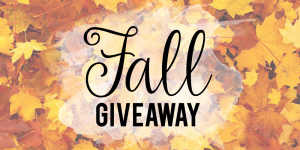 Fall Giveaway 2015 Born Creative Blog