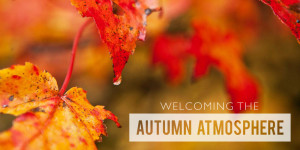 Welcoming the Autumn Atmosphere into Your Home