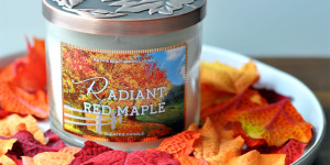 Radiant Red Maple - Bath & Body Works Candle - Perfect Autumn Scent