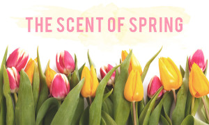 The Scent of Spring | Top 3 Spring Candles | www.borncreativeblog.com